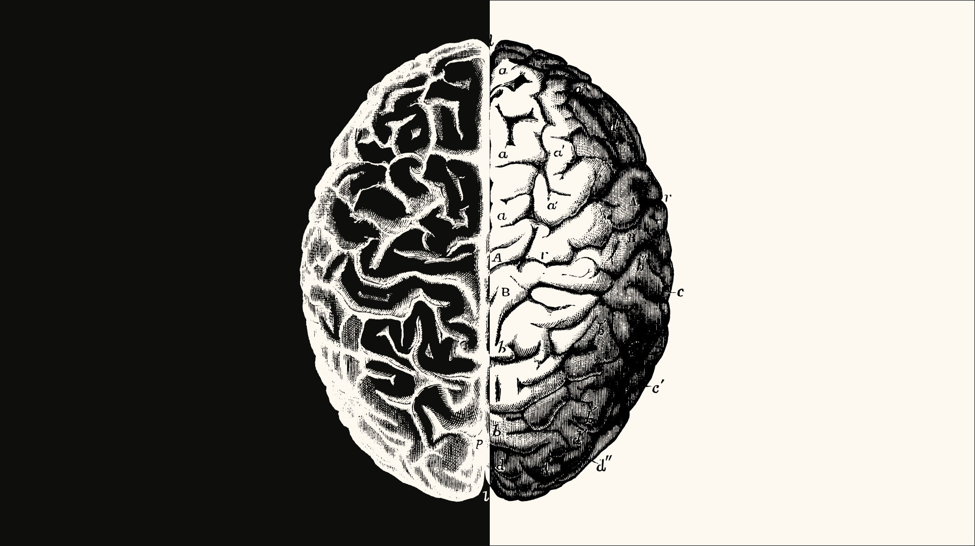 二元對立思維 - Black and white thinking